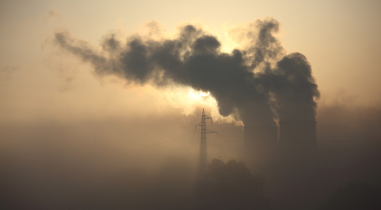 A Signal to Industry to Go Green in an Era of Carbon Reduction