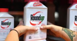 US jury awards $2bn damages in Roundup weedkiller cancer claim
